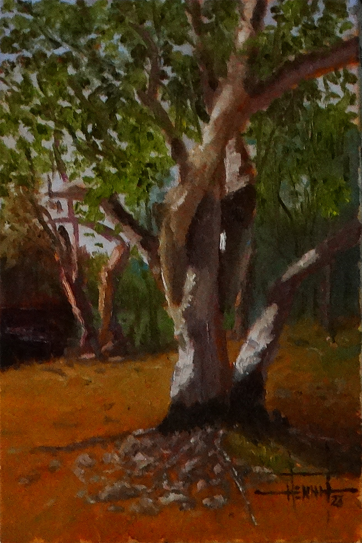 A Arvore